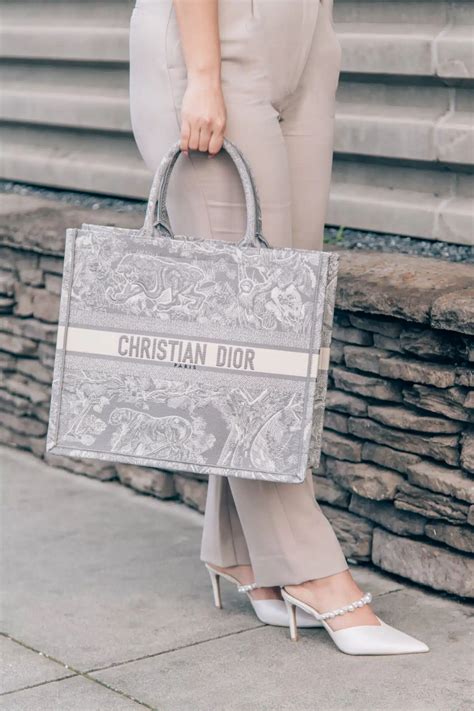 christian dior book tote bag dupe|christian dior knock offs.